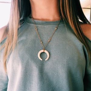 Double Horn Pendant Necklace